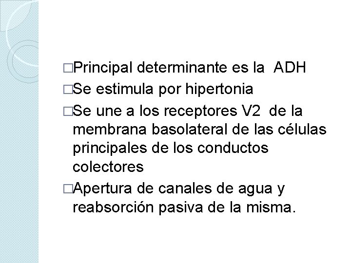 �Principal determinante es la ADH �Se estimula por hipertonia �Se une a los receptores