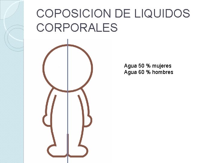 COPOSICION DE LIQUIDOS CORPORALES Agua 50 % mujeres Agua 60 % hombres 