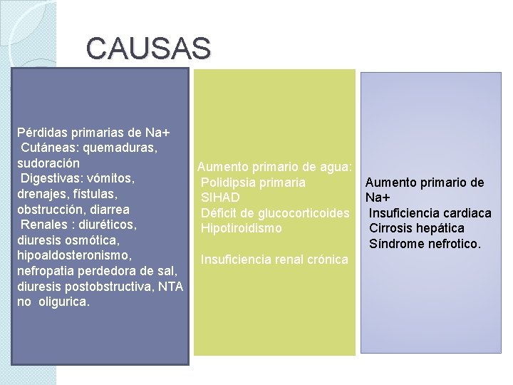CAUSAS Pérdidas primarias de Na+ Cutáneas: quemaduras, sudoración Digestivas: vómitos, drenajes, fístulas, obstrucción, diarrea