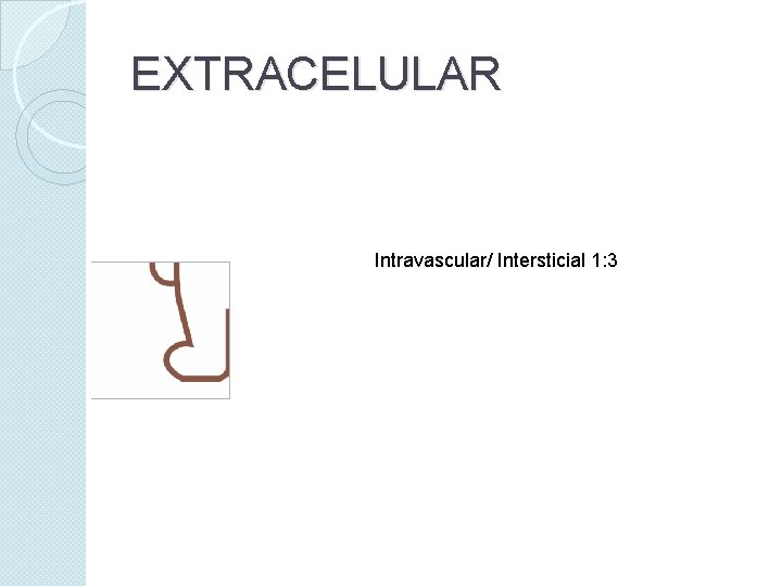 EXTRACELULAR Intravascular/ Intersticial 1: 3 