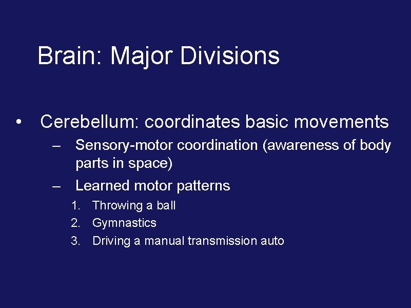 Brain: Major Divisions • Cerebellum: coordinates basic movements – Sensory-motor coordination (awareness of body
