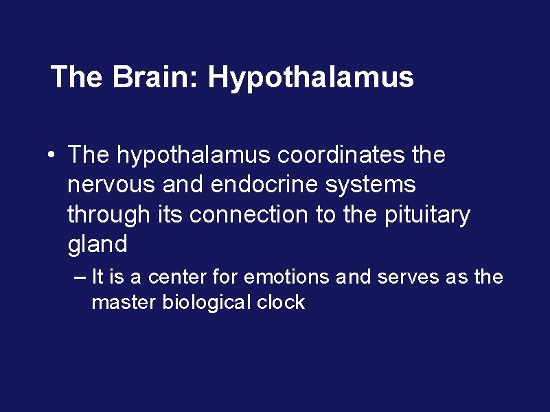 The Brain: Hypothalamus • The hypothalamus coordinates the nervous and endocrine systems through its