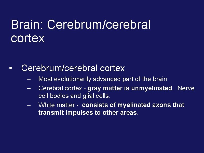 Brain: Cerebrum/cerebral cortex • Cerebrum/cerebral cortex – – – Most evolutionarily advanced part of