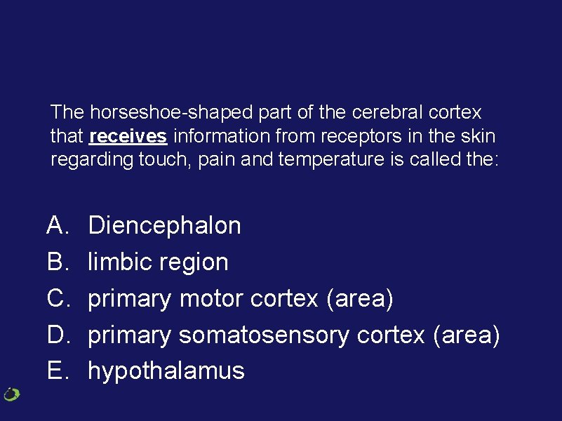 The horseshoe-shaped part of the cerebral cortex that receives information from receptors in the