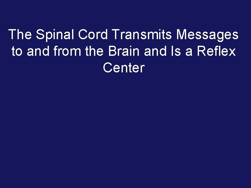 The Spinal Cord Transmits Messages to and from the Brain and Is a Reflex