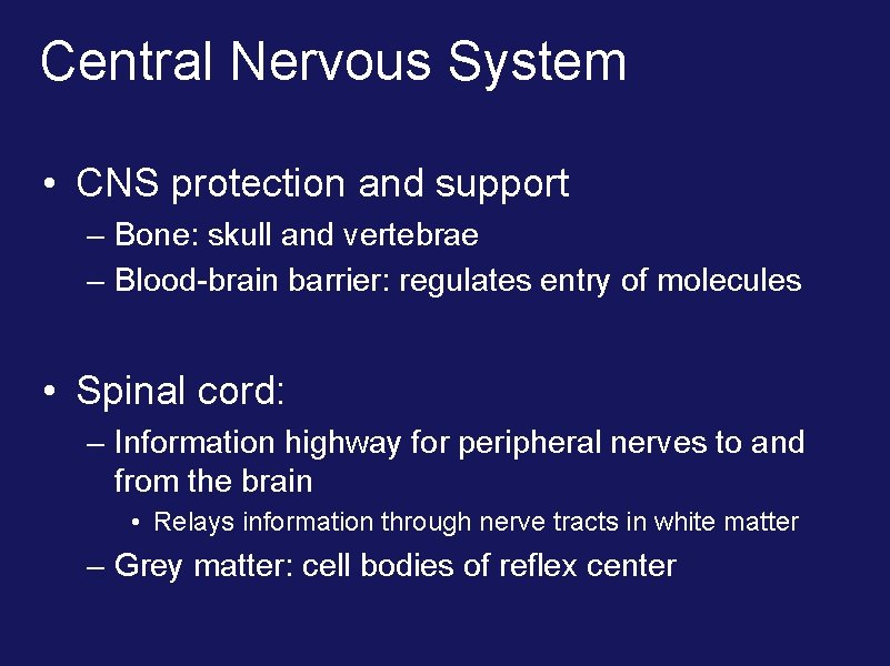 Central Nervous System • CNS protection and support – Bone: skull and vertebrae –