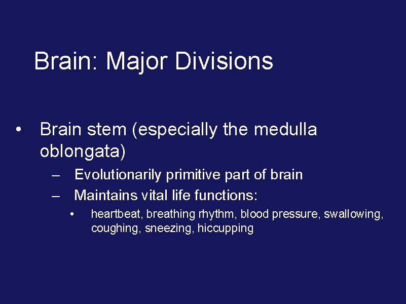 Brain: Major Divisions • Brain stem (especially the medulla oblongata) – Evolutionarily primitive part