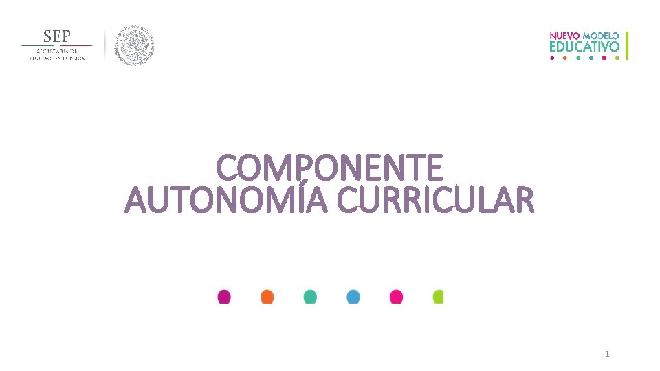 COMPONENTE AUTONOMÍA CURRICULAR 1 