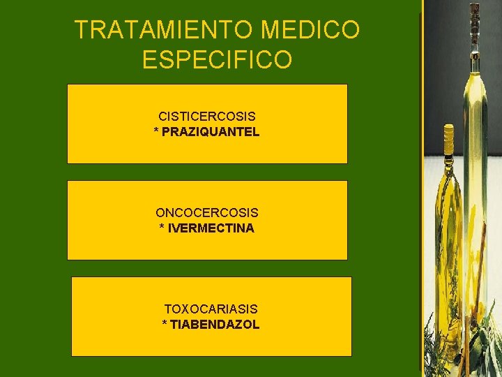 TRATAMIENTO MEDICO ESPECIFICO CISTICERCOSIS * PRAZIQUANTEL ONCOCERCOSIS * IVERMECTINA TOXOCARIASIS * TIABENDAZOL 