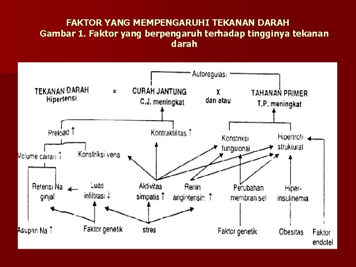 FAKTOR YANG MEMPENGARUHI TEKANAN DARAH Gambar 1. Faktor yang berpengaruh terhadap tingginya tekanan darah