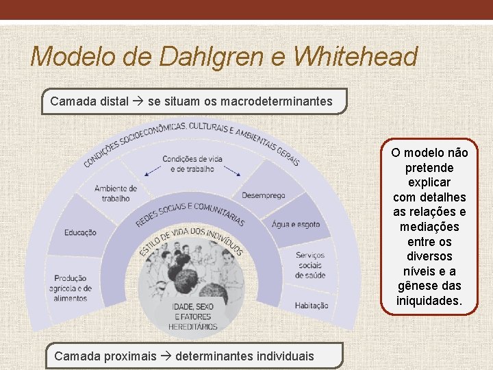 Modelo de Dahlgren e Whitehead Camada distal se situam os macrodeterminantes O modelo não Modelo de Dahlgren e Whitehead Camada distal se situam os macrodeterminantes O modelo não