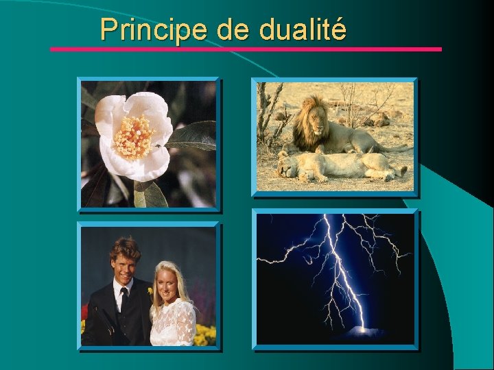 Principe de dualité Principe de dualité