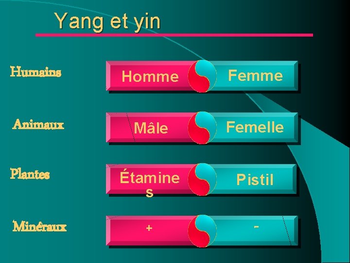 Yang et yin Humains Homme Femme Animaux Mâle Femelle Étamine s Pistil + - Yang et yin Humains Homme Femme Animaux Mâle Femelle Étamine s Pistil + -