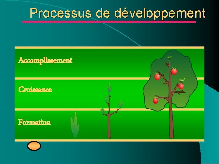 Processus de développement Accomplissement Croissance Formation Processus de développement Accomplissement Croissance Formation