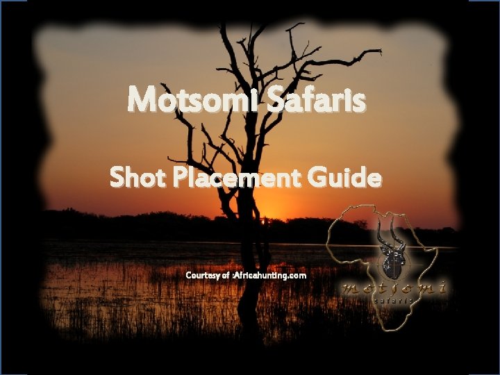 Motsomi Safaris Shot Placement Guide Courtesy of : Africahunting. com 