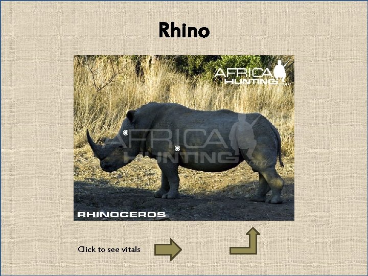 Rhino Click to see vitals 