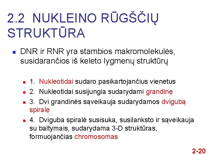 2. 2 NUKLEINO RŪGŠČIŲ STRUKTŪRA n DNR ir RNR yra stambios makromolekulės, susidarančios iš