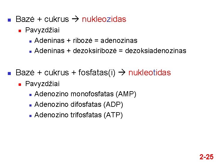 n Bazė + cukrus nukleozidas n n Pavyzdžiai n Adeninas + ribozė = adenozinas