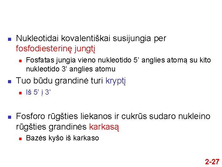 n Nukleotidai kovalentiškai susijungia per fosfodiesterinę jungtį n n Tuo būdu grandinė turi kryptį