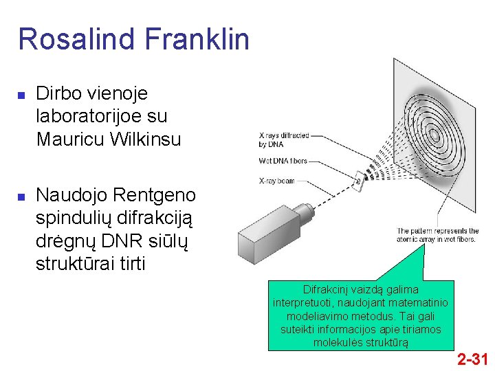 Rosalind Franklin n n Dirbo vienoje laboratorijoe su Mauricu Wilkinsu Naudojo Rentgeno spindulių difrakciją