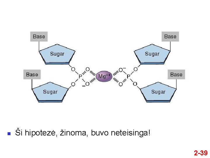 n Ši hipotezė, žinoma, buvo neteisinga! 2 -39 