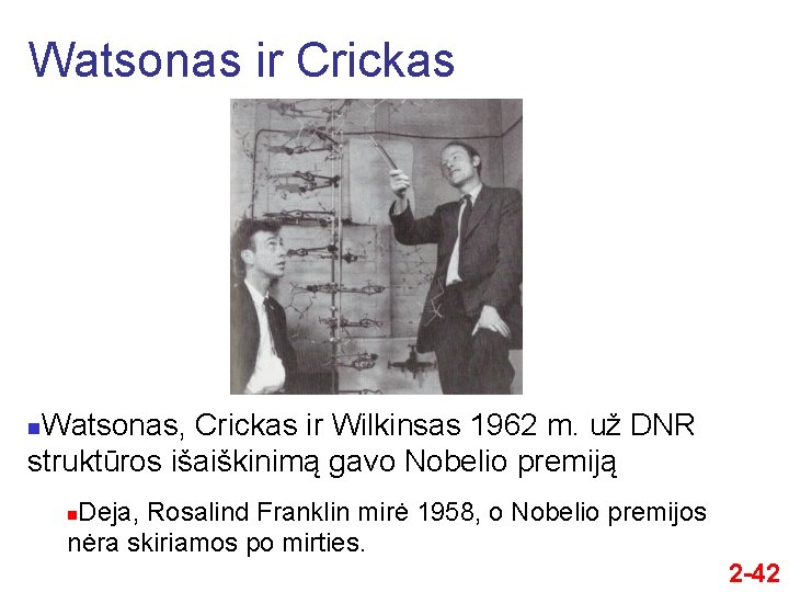 Watsonas ir Crickas Watsonas, Crickas ir Wilkinsas 1962 m. už DNR struktūros išaiškinimą gavo