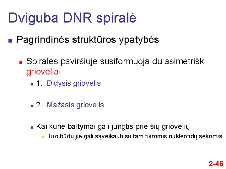 Dviguba DNR spiralė n Pagrindinės struktūros ypatybės n Spiralės paviršiuje susiformuoja du asimetriški grioveliai