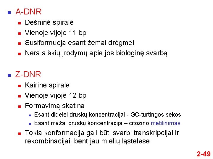 n A-DNR n n n Dešninė spiralė Vienoje vijoje 11 bp Susiformuoja esant žemai