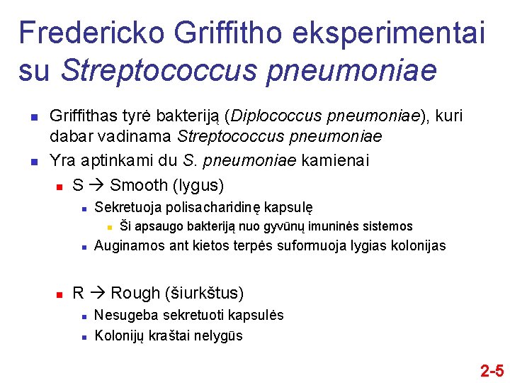 Fredericko Griffitho eksperimentai su Streptococcus pneumoniae n n Griffithas tyrė bakteriją (Diplococcus pneumoniae), kuri