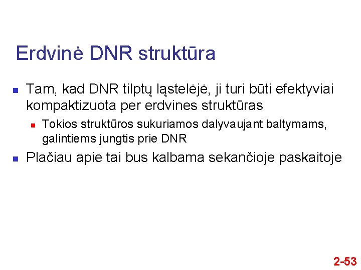 Erdvinė DNR struktūra n Tam, kad DNR tilptų ląstelėjė, ji turi būti efektyviai kompaktizuota