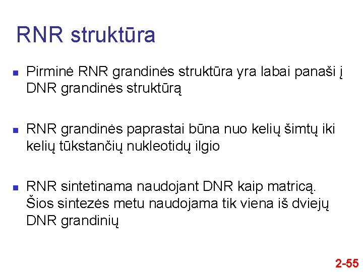 RNR struktūra n n n Pirminė RNR grandinės struktūra yra labai panaši į DNR