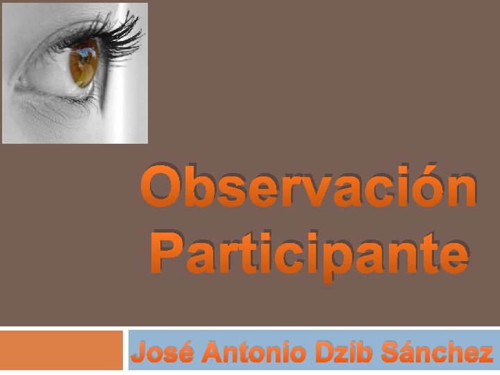Observación Participante José Antonio Dzib Sánchez 