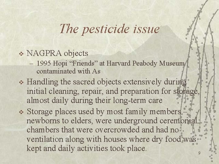 The pesticide issue v NAGPRA objects – 1995 Hopi “Friends” at Harvard Peabody Museum