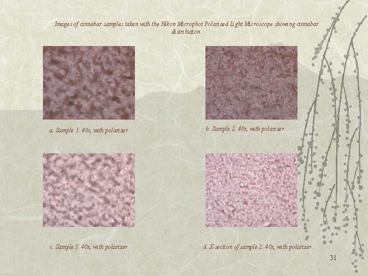 Images of cinnabar samples taken with the Nikon Microphot Polarized Light Microscope showing cinnabar