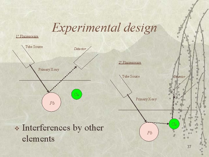 Experimental design 1° Fluorescence Tube Source Detector 2° Fluorescence Primary X-ray Tube Source Detector