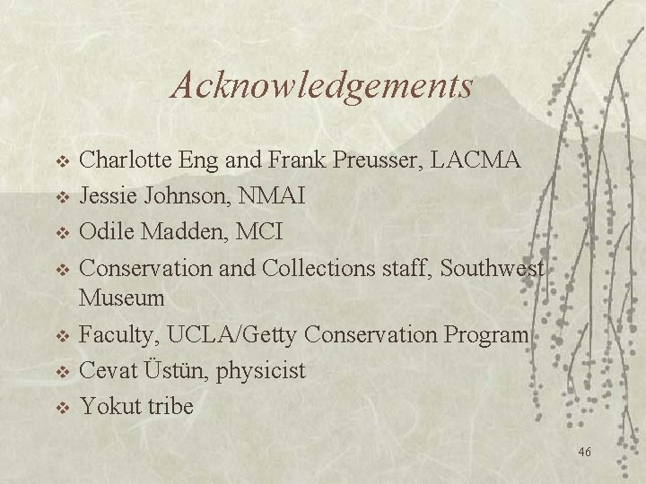 Acknowledgements v v v v Charlotte Eng and Frank Preusser, LACMA Jessie Johnson, NMAI
