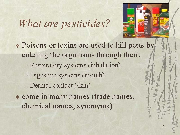 What are pesticides? v Poisons or toxins are used to kill pests by entering