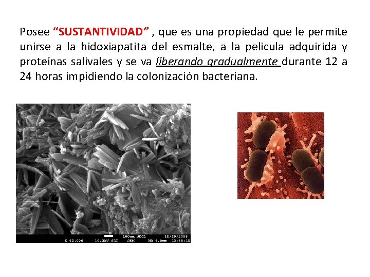 Posee “SUSTANTIVIDAD” , que es una propiedad que le permite unirse a la hidoxiapatita Posee “SUSTANTIVIDAD” , que es una propiedad que le permite unirse a la hidoxiapatita