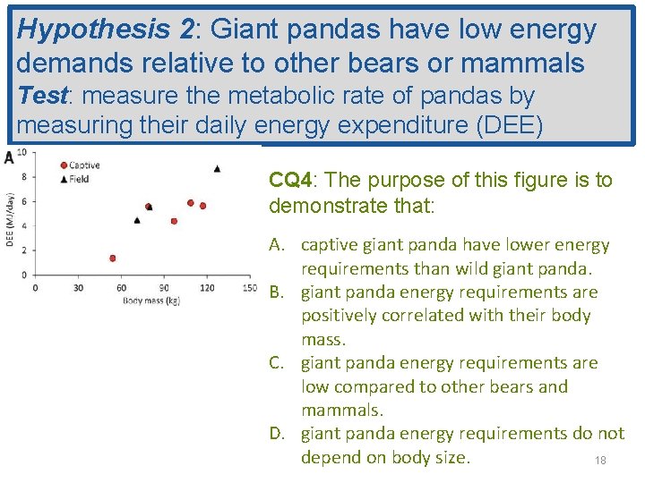 Hypothesis 2: Giant pandas have low energy demands relative to other bears or mammals