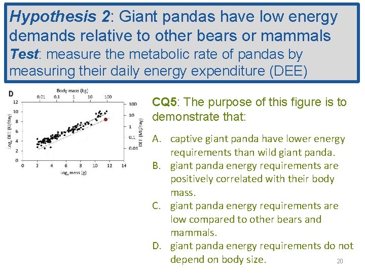 Hypothesis 2: Giant pandas have low energy demands relative to other bears or mammals