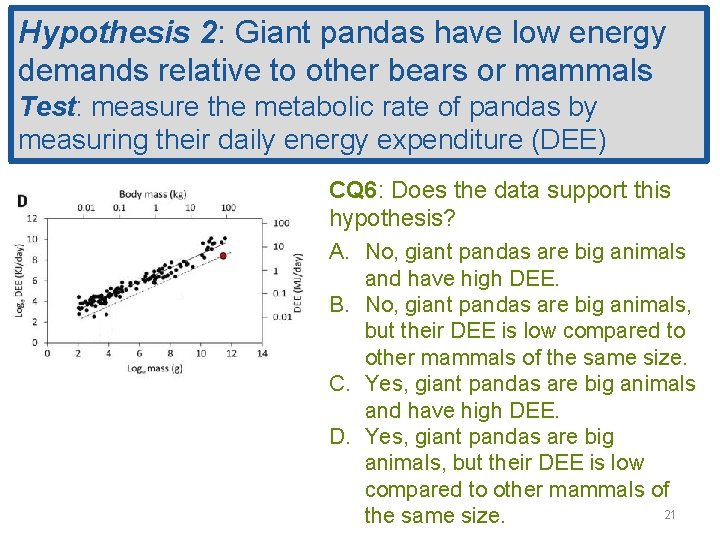 Hypothesis 2: Giant pandas have low energy demands relative to other bears or mammals