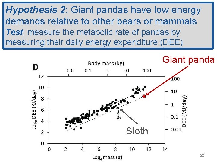 Hypothesis 2: Giant pandas have low energy demands relative to other bears or mammals