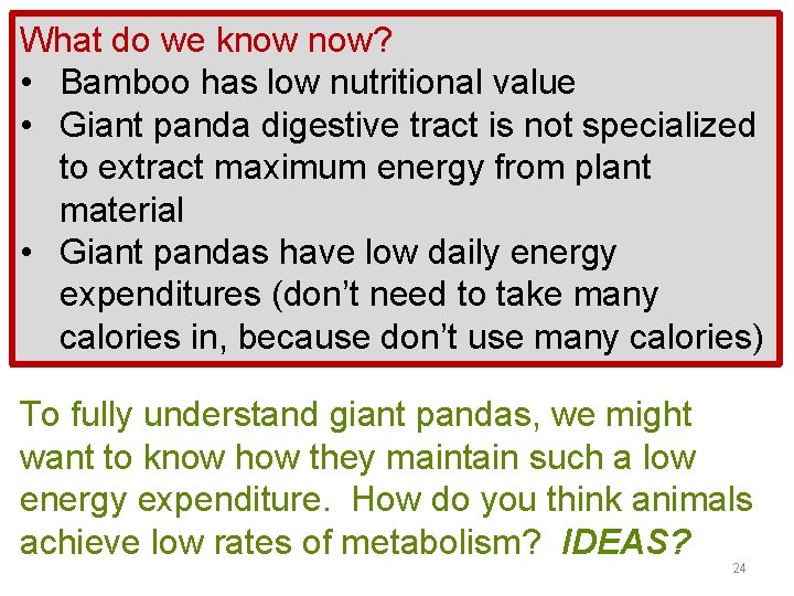 What do we know now? • Bamboo has low nutritional value • Giant panda