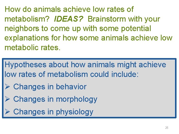 How do animals achieve low rates of metabolism? IDEAS? Brainstorm with your neighbors to