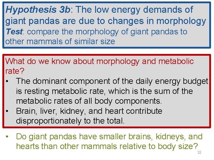 Hypothesis 3 b: The low energy demands of giant pandas are due to changes