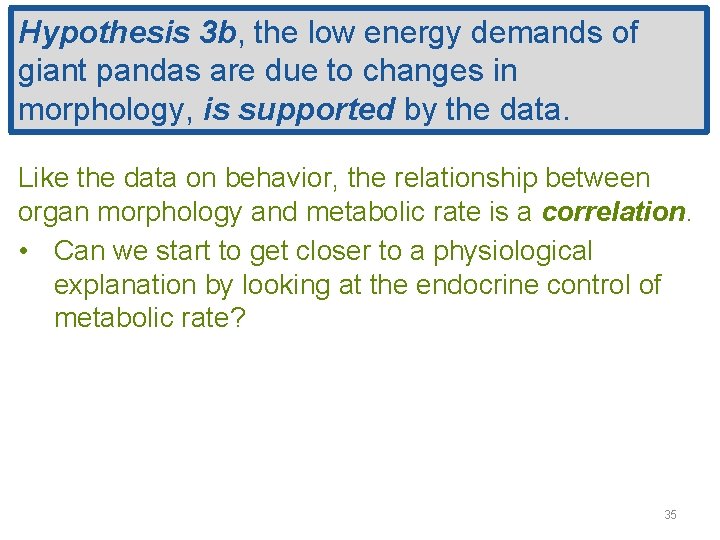 Hypothesis 3 b, the low energy demands of giant pandas are due to changes