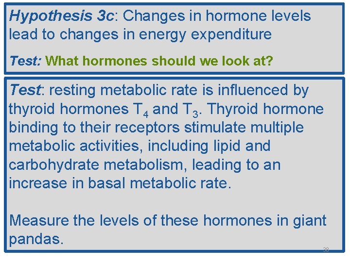 Hypothesis 3 c: Changes in hormone levels lead to changes in energy expenditure Test:
