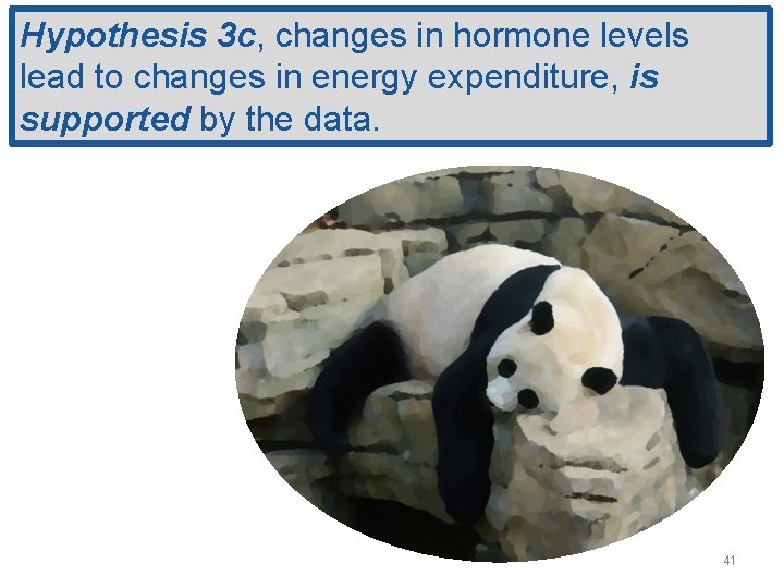Hypothesis 3 c, changes in hormone levels lead to changes in energy expenditure, is