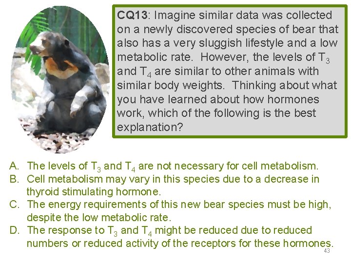 CQ 13: Imagine similar data was collected on a newly discovered species of bear