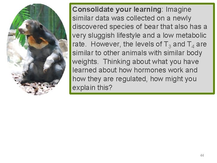 Consolidate your learning: Imagine similar data was collected on a newly discovered species of